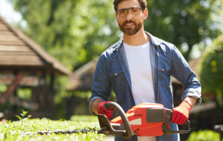 Jardinier tenant une tronçonneuse devant un arbuste taillé